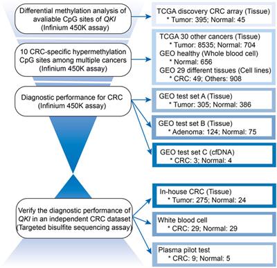 Promoter Methylation of QKI as a Potential Specific Biomarker for Early Detection of Colorectal Cancer